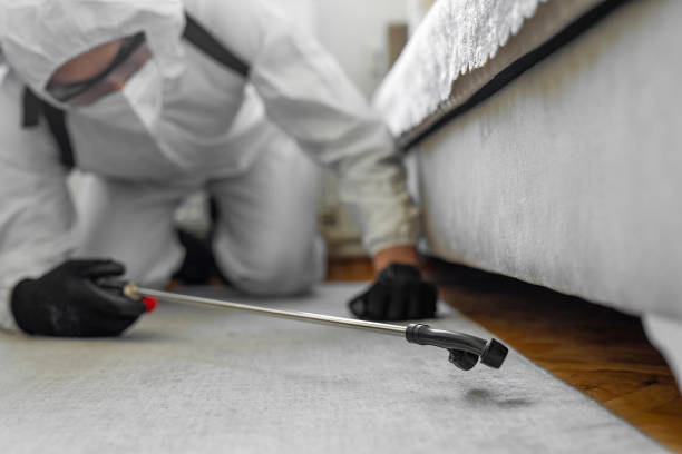 Professional Ant Control technician working in Bangor Base, WA