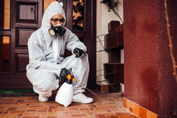 Reliable Ant Control contractor in Bangor Base, WA by Nex Pest Control